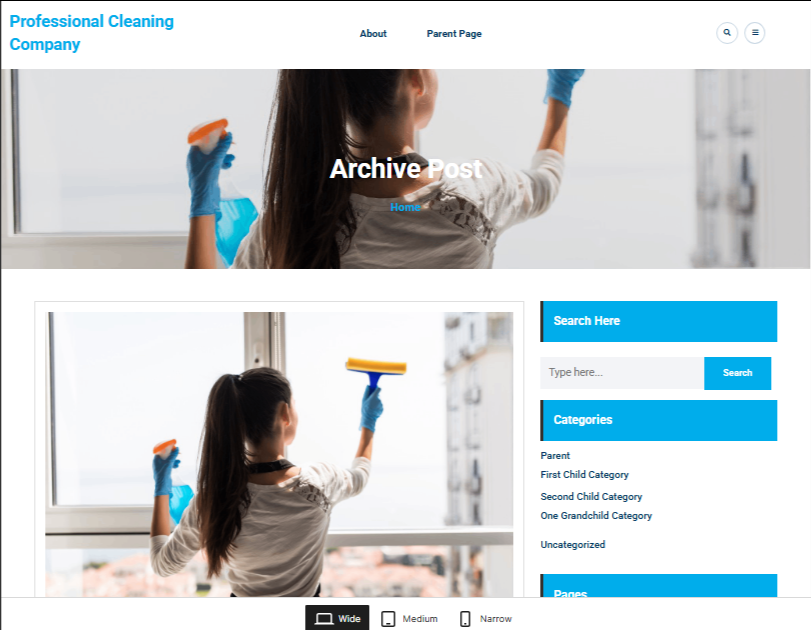 7 Best WordPress Themes for Cleaning Services